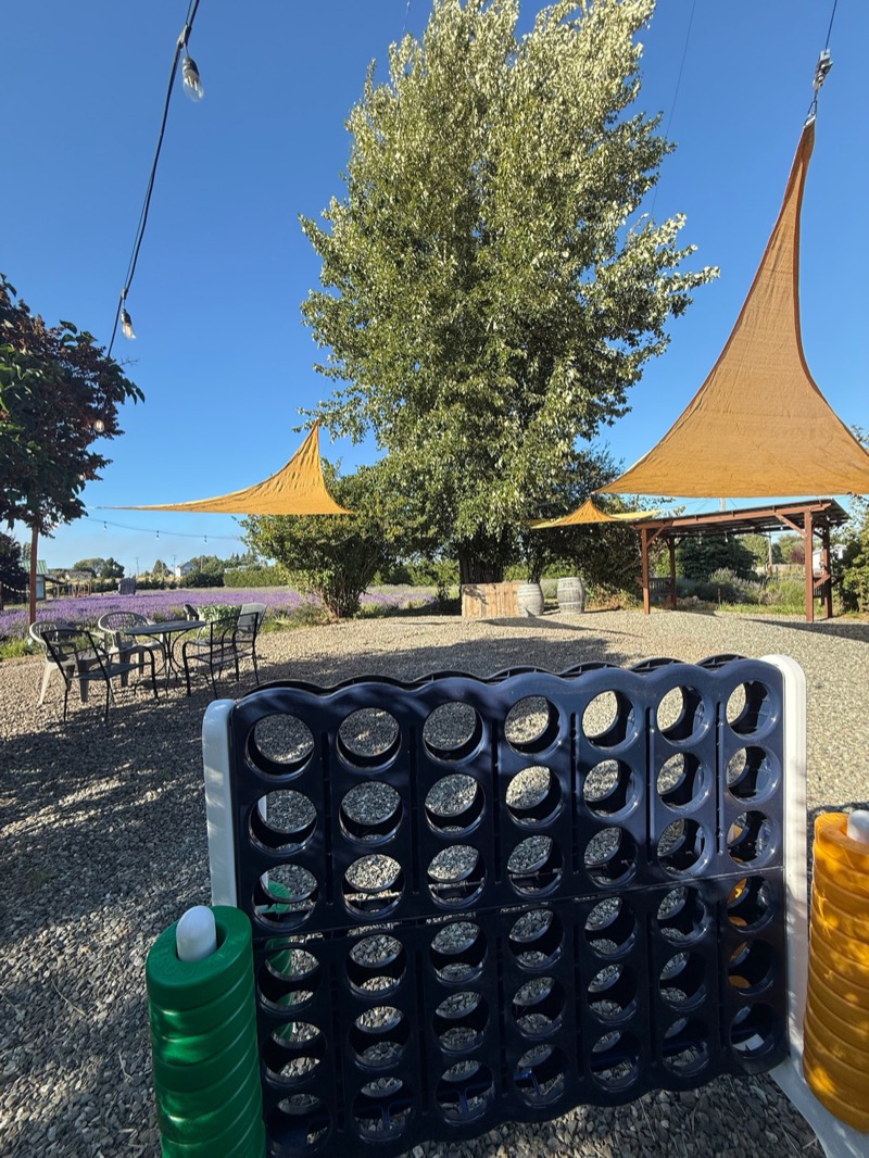 Giant Connect Four and outdoor games