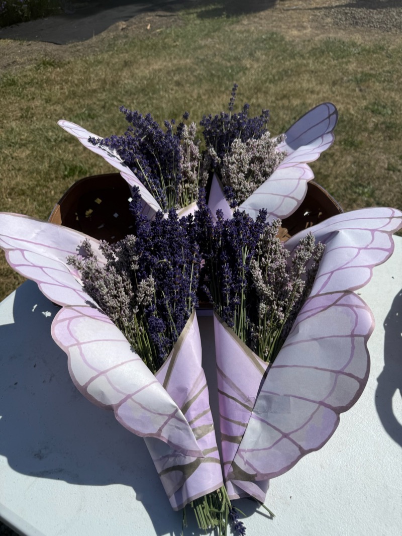 Lavender bouquets