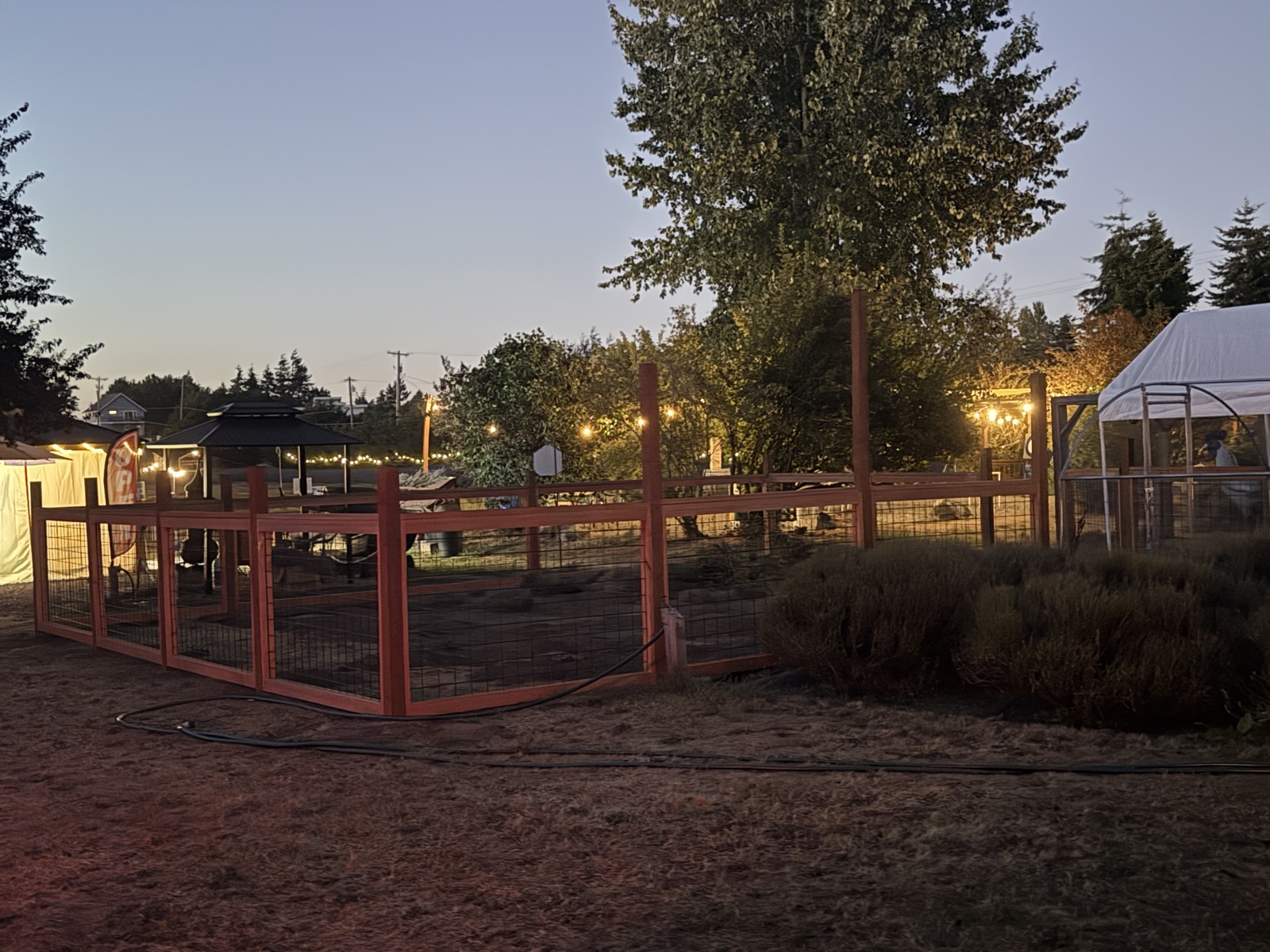 Farm at twilight with greenhouse