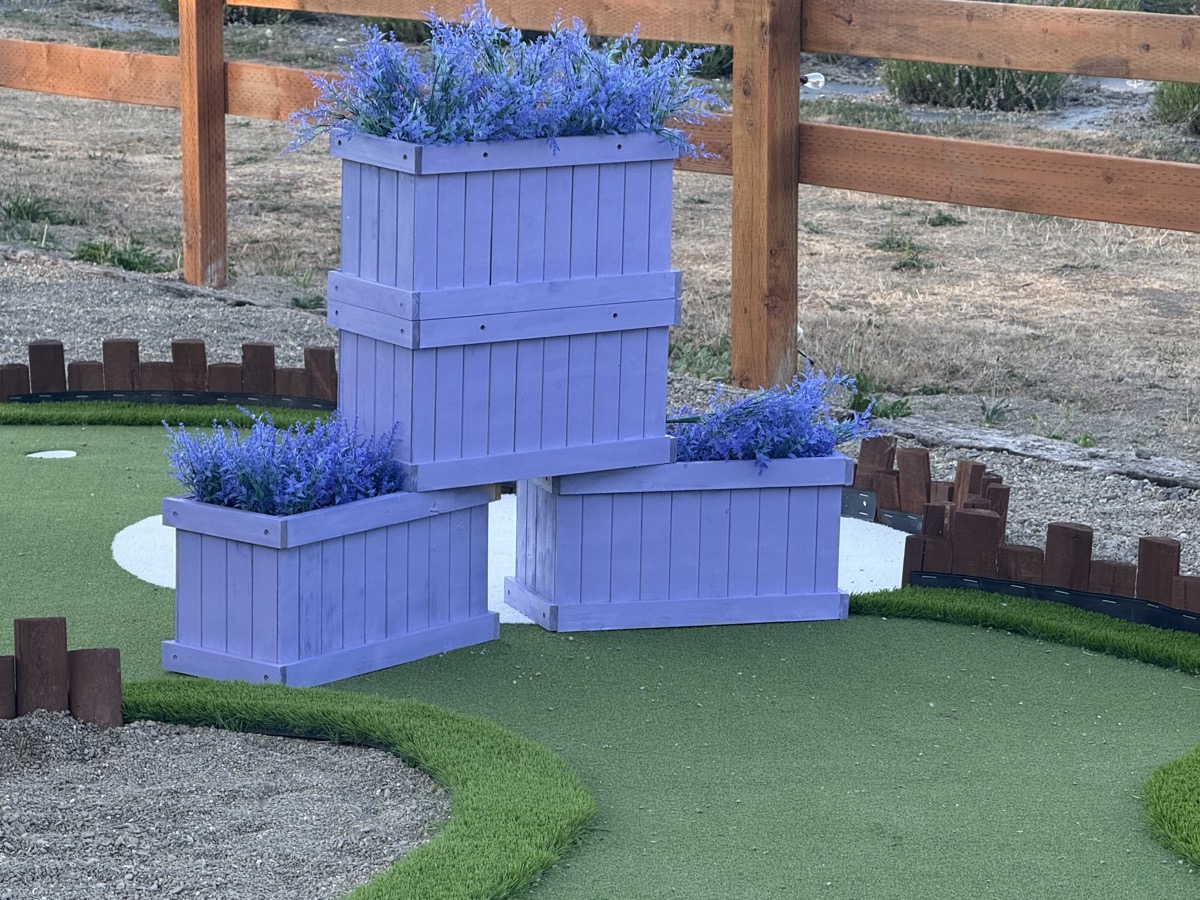 Mini golf with lavender planters